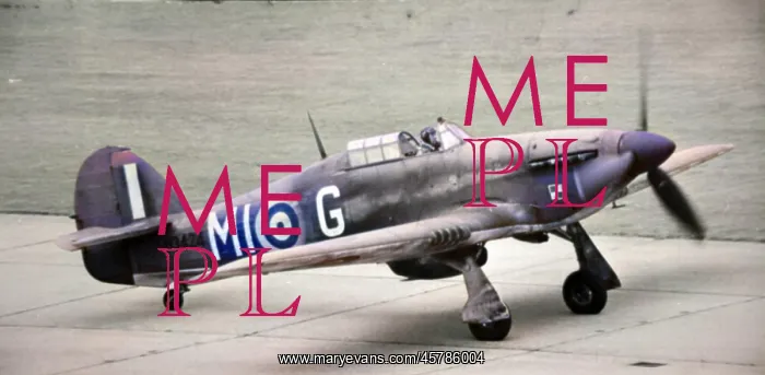 : Hawker Hurricane 1A of Free Polish, (forward view), tax? : Hawker Hurricane 1A of Free Polish, (forward view), tax?
