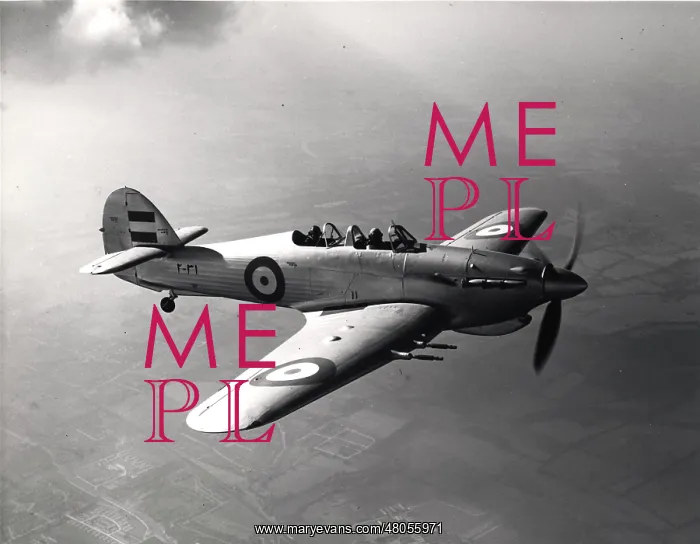 : Hawker Hurricane 2-31 two-seat trainer : Hawker Hurricane 2-31 two-seat trainer