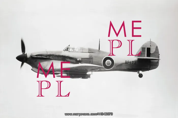 : Hawker Hurricane Mk 2D : Hawker Hurricane Mk 2D