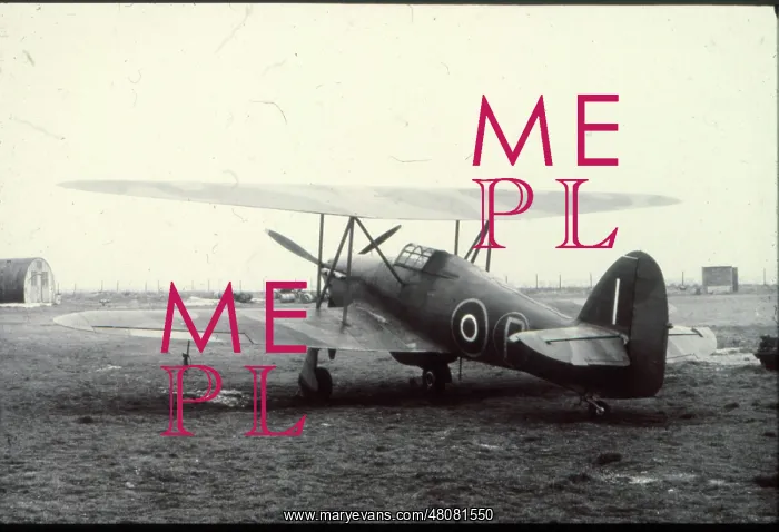 : Hawker Hurricane Slipwing : Hawker Hurricane Slipwing