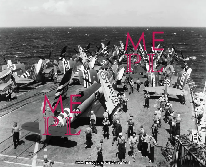 : Hawker Sea Fury : Hawker Sea Fury