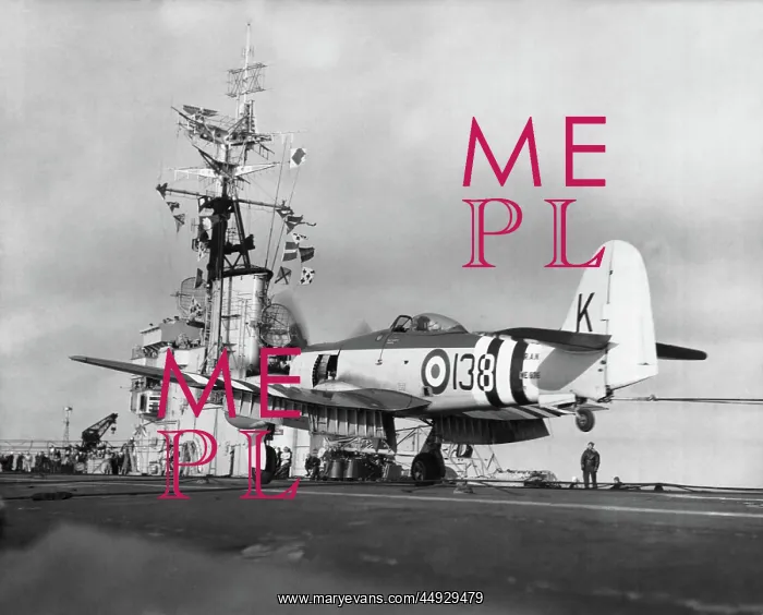 : Hawker Sea Fury : Hawker Sea Fury