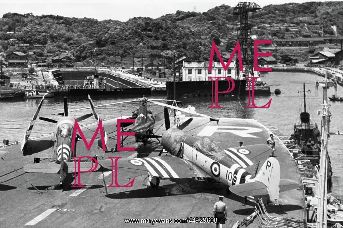 : Hawker Sea Fury : Hawker Sea Fury
