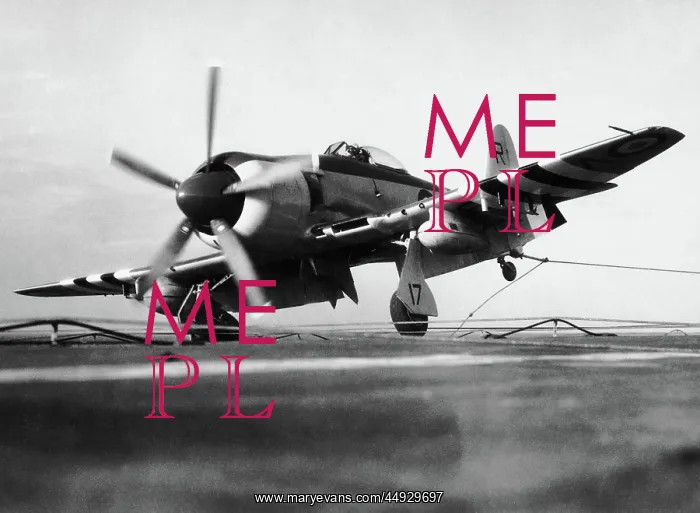 : Hawker Sea Fury : Hawker Sea Fury