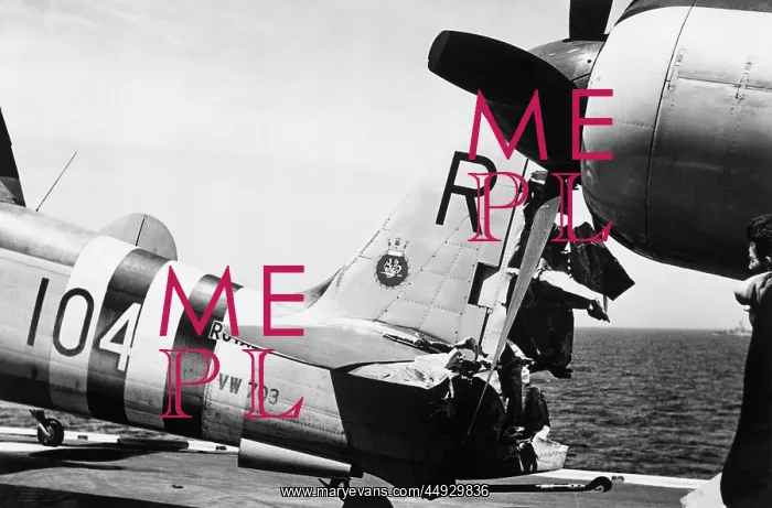 : Hawker Sea Fury : Hawker Sea Fury