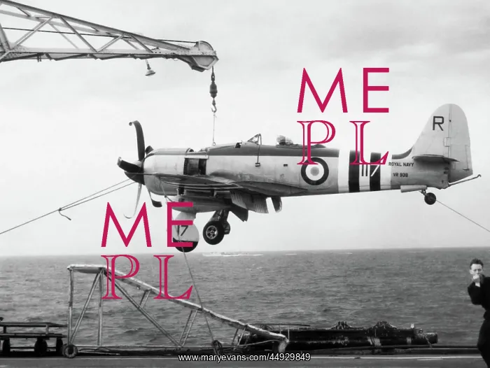 : Hawker Sea Fury : Hawker Sea Fury