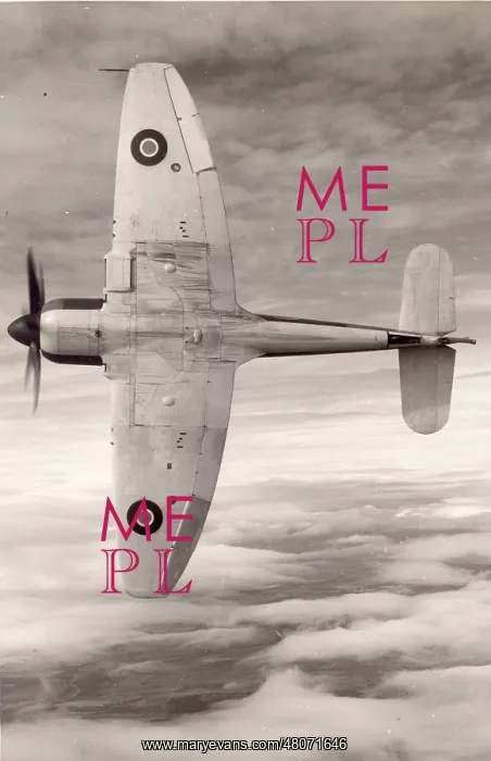  : Hawker Sea Fury