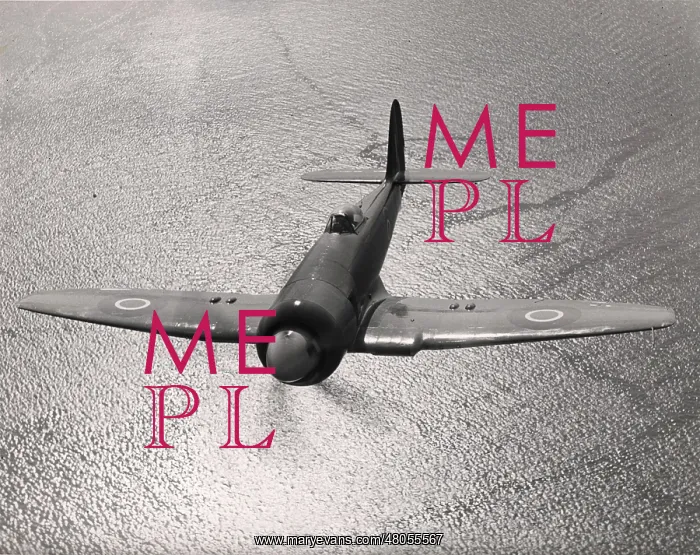 : Hawker Sea Fury X : Hawker Sea Fury X