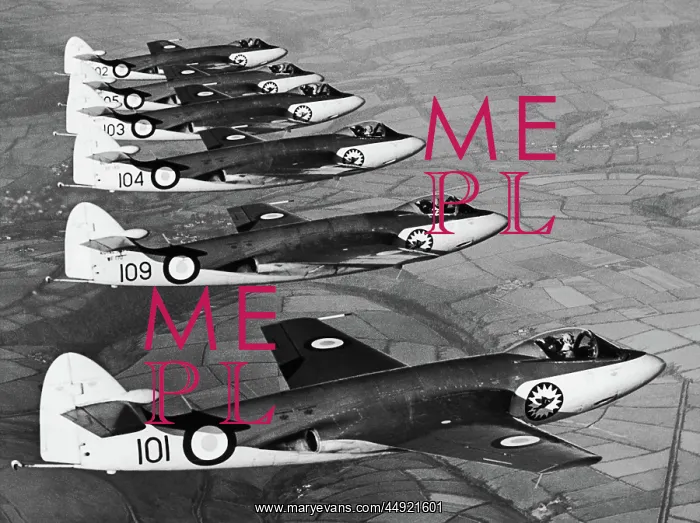 : Hawker Sea Hawk F-1 : Hawker Sea Hawk F-1