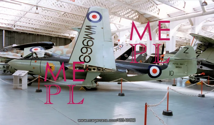 : Hawker Sea Hawk Mk.3 WM969 : Hawker Sea Hawk Mk.3 WM969