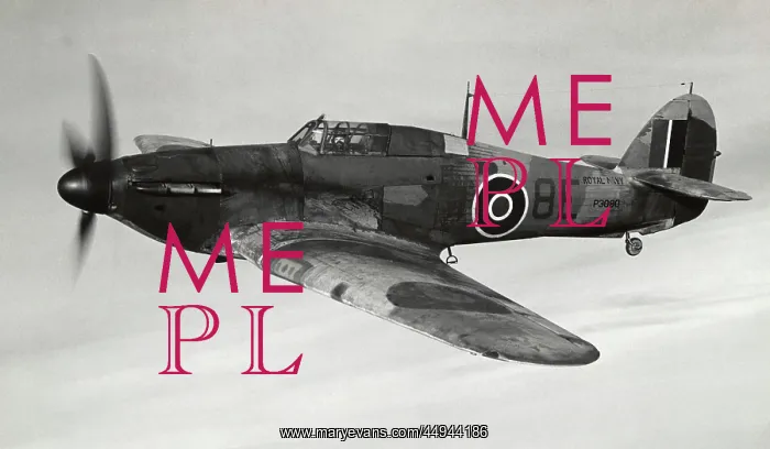 : Hawker Sea Hurricane : Hawker Sea Hurricane