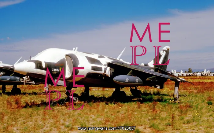 : Hawker Siddeley AV-8C Harrier : Hawker Siddeley AV-8C Harrier