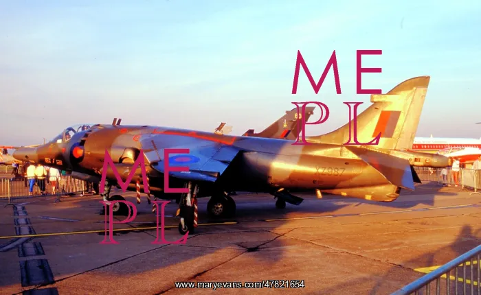 : Hawker Siddeley Harrier GR.3 XZ987 : Hawker Siddeley Harrier GR.3 XZ987