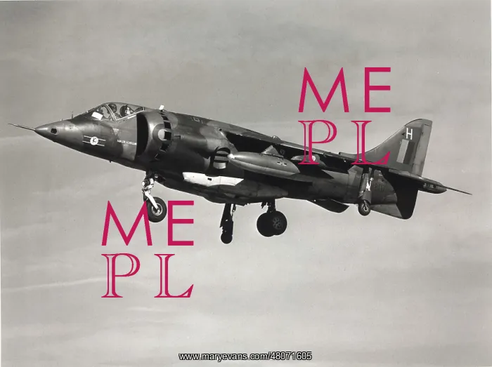 : Hawker Siddeley Harrier of No.3 Squadron takes off : Hawker Siddeley Harrier of No.3 Squadron takes off