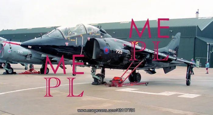 : Hawker Siddeley Harrier T.8 ZD993 : Hawker Siddeley Harrier T.8 ZD993