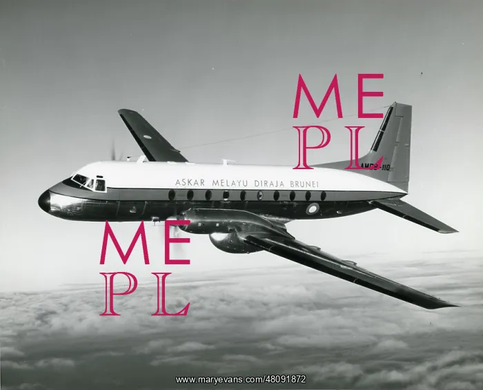 : Hawker Siddeley HS748 Series 2A, AMDB-110 : Hawker Siddeley HS748 Series 2A, AMDB-110