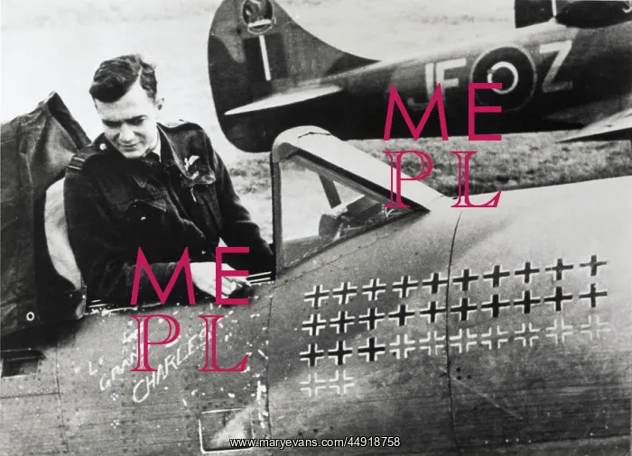 : Hawker Tempest 5 : Hawker Tempest 5