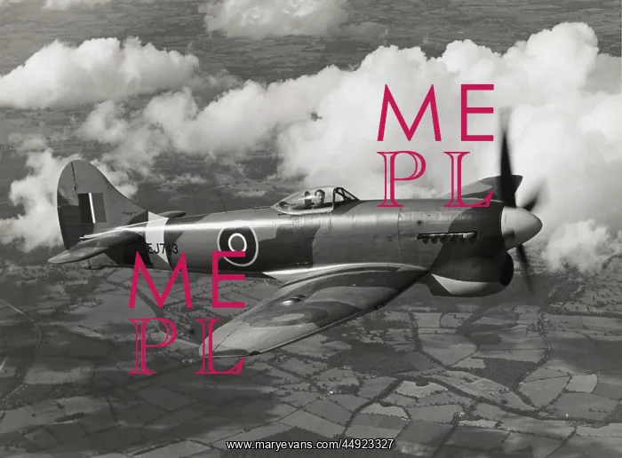 : Hawker Tempest 5 : Hawker Tempest 5