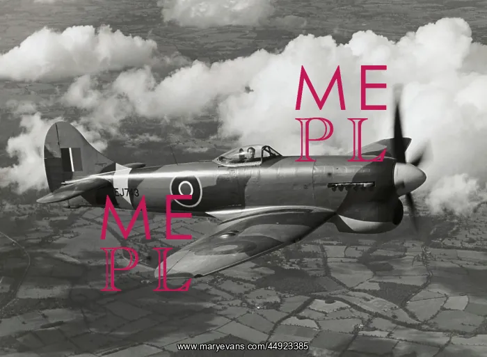 : Hawker Tempest 5 : Hawker Tempest 5
