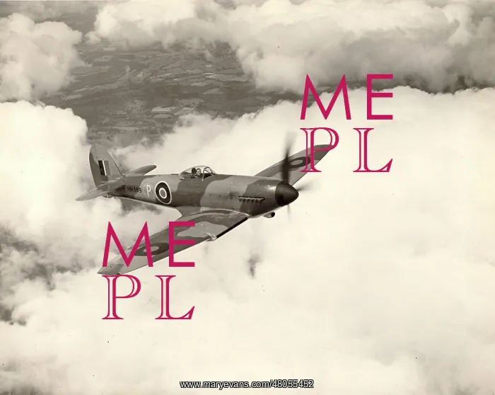 : Hawker Tempest I HM599 : Hawker Tempest I HM599