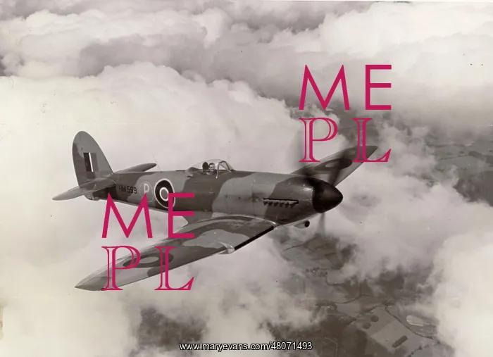 : Hawker Tempest I, HM599 : Hawker Tempest I, HM599