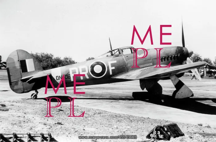 : Hawker Typhoon 1b (on the ground), DN406 of No609 Squad : Hawker Typhoon 1b (on the ground), DN406 of No609 Squad
