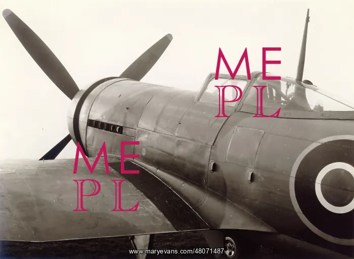 : Hawker Typhoon IB, R8694, fitted with an annular radiator : Hawker Typhoon IB, R8694, fitted with an annular radiator