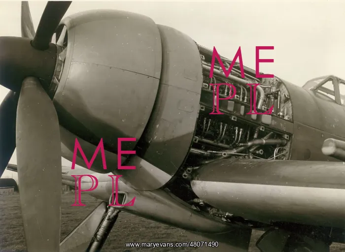 : Hawker Typhoon IB, R8694, fitted with an annular radiator : Hawker Typhoon IB, R8694, fitted with an annular radiator