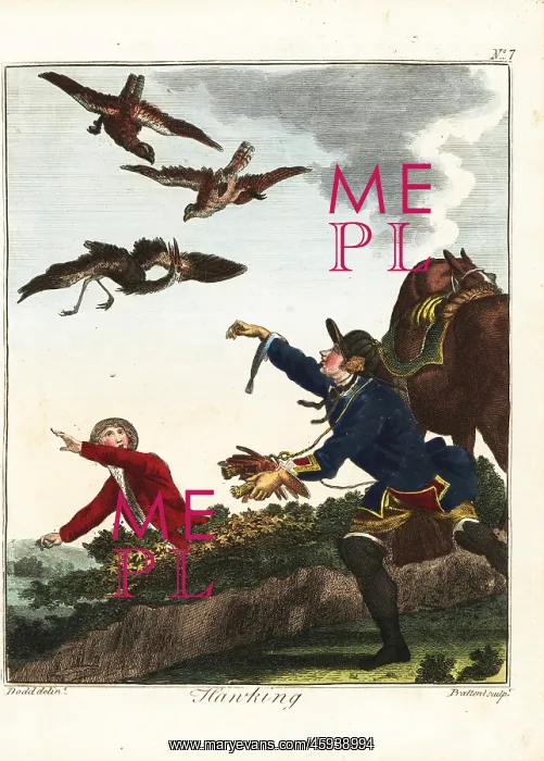: Hawking for heron, 18th century : Hawking for heron, 18th century