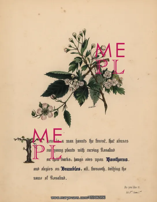 : Hawthorns and Brambles (As You Like It) : Hawthorns and Brambles (As You Like It)