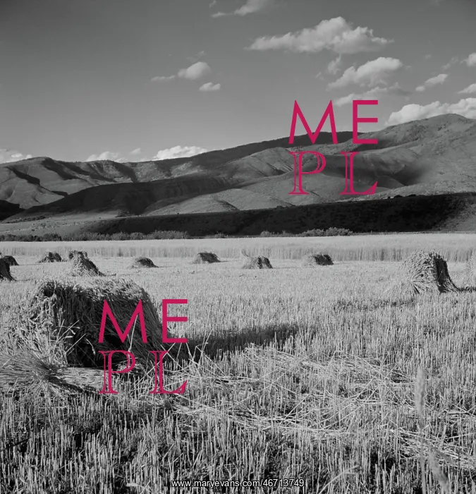 : Hay - Field - Mountains - Landscape : Hay - Field - Mountains - Landscape
