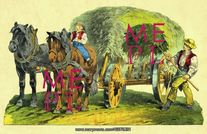 : Hay harvest : Hay harvest