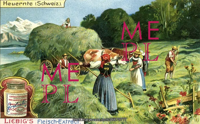 : Hay harvest : Hay harvest
