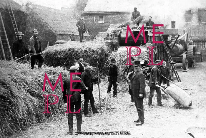  : Hay making near Alfreton