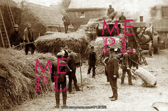  : Hay making near Alfreton