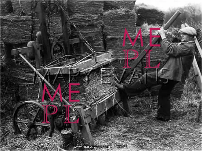 : HAY PRESTO! : HAY PRESTO!