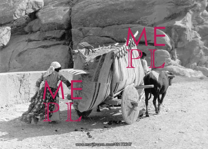 : hay wagon in Iran, 1937 : hay wagon in Iran, 1937