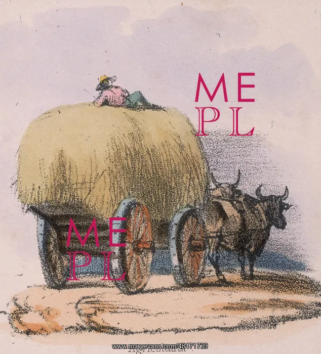 : Haycart pulled by oxen. From Graphic Illustrations : Haycart pulled by oxen. From Graphic Illustrations