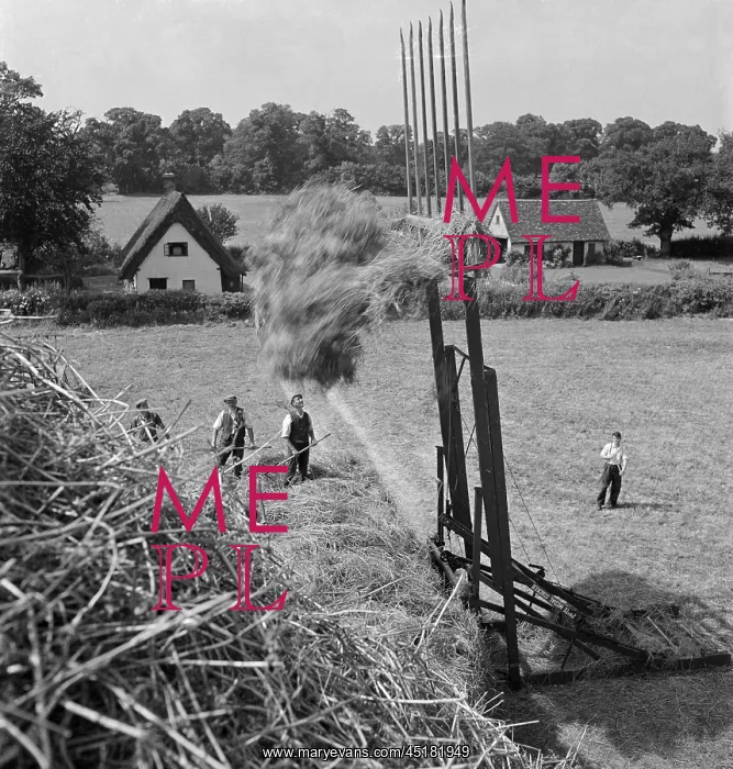 : Haymaking in Great Munden, showing men watching a hay stacking machine : Haymaking in Great Munden, showing men watching a hay stacking machine