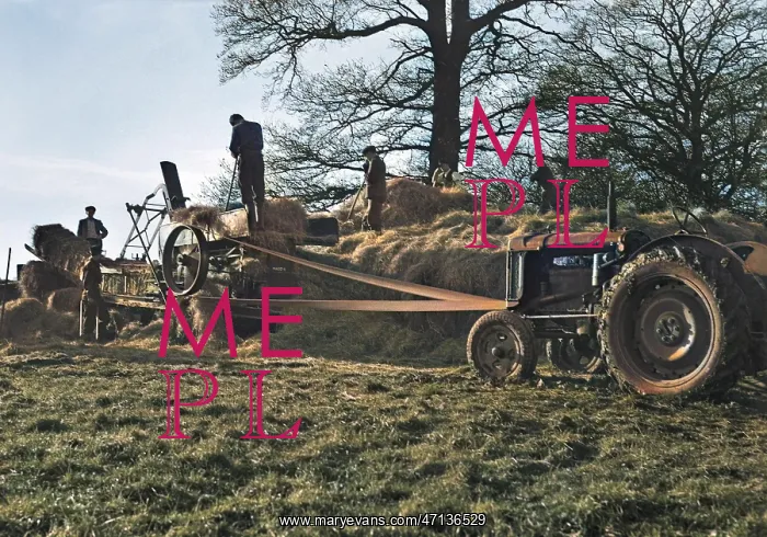  : Haymaking in a field