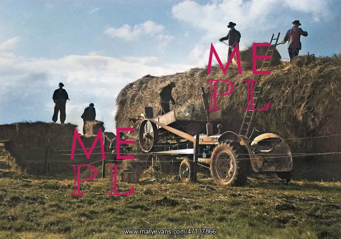  : Haymaking in a field