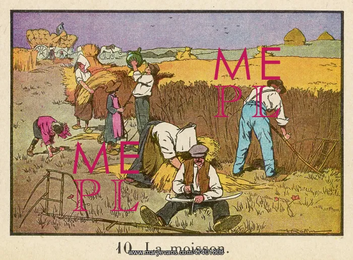 : HAYMAKING, FRANCE C1920 : HAYMAKING, FRANCE C1920