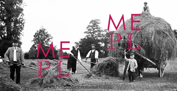  : Haymaking, Hoby