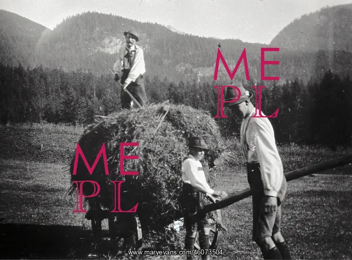 : When haymaking. Two men on a hay cart. One top. About : When haymaking. Two men on a hay cart. One top. About