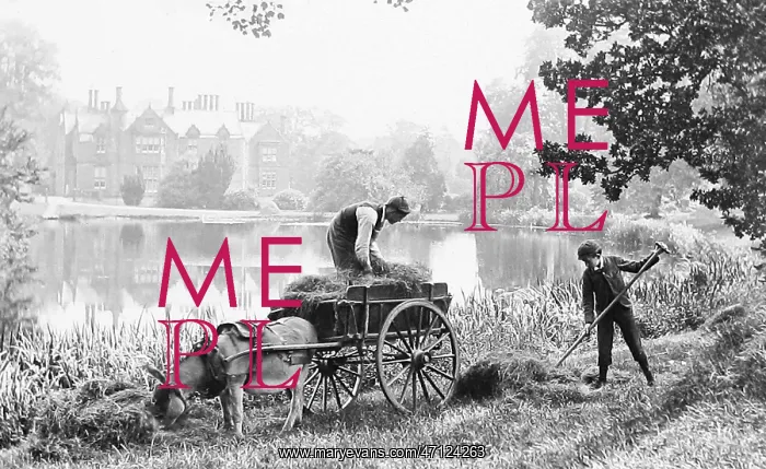  : Haymaking - rural idyll - Victorian period