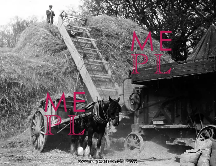  : Haymaking Threshing