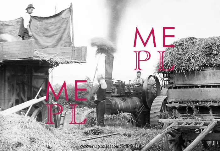 : Haymaking with a traction engine