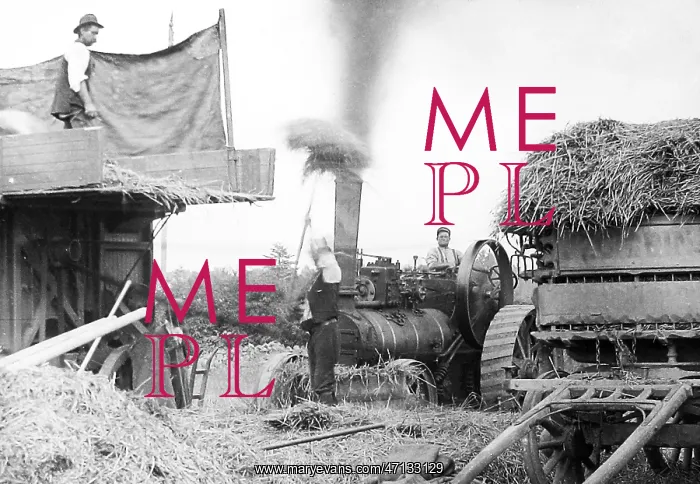  : Haymaking with a traction engine early 1900s