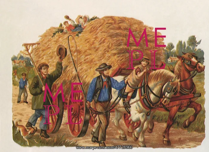  : Hayride