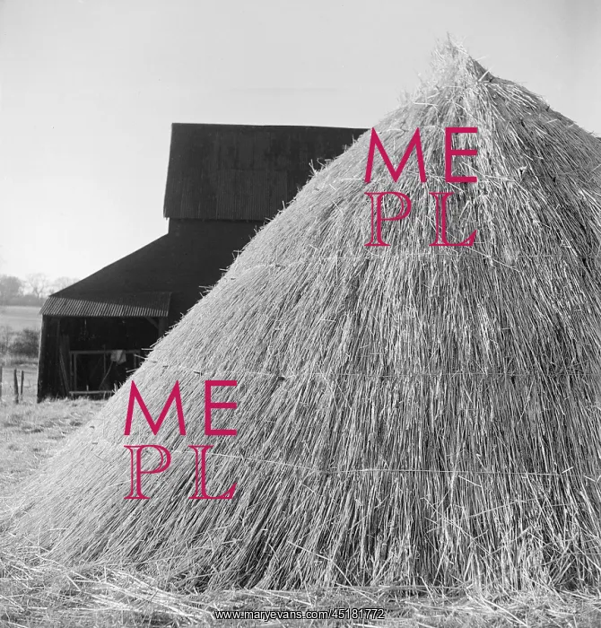 : Haystack. A conical shaped haystack in Great Munden, thatched to protect it : Haystack. A conical shaped haystack in Great Munden, thatched to protect it